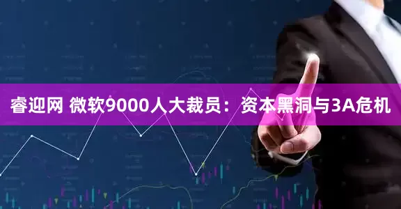 睿迎网 微软9000人大裁员：资本黑洞与3A危机