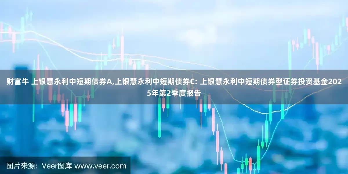 财富牛 上银慧永利中短期债券A,上银慧永利中短期债券C: 上银慧永利中短期债券型证券投资基金2025年第2季度报告