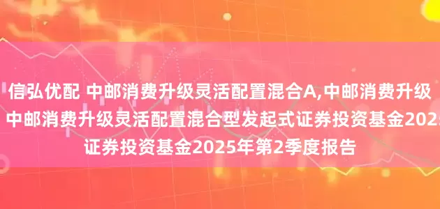 信弘优配 中邮消费升级灵活配置混合A,中邮消费升级灵活配置混合C: 中邮消费升级灵活配置混合型发起式证券投资基金2025年第2季度报告