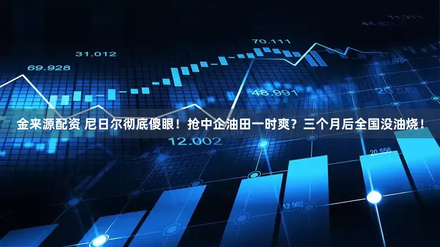 金来源配资 尼日尔彻底傻眼！抢中企油田一时爽？三个月后全国没油烧！