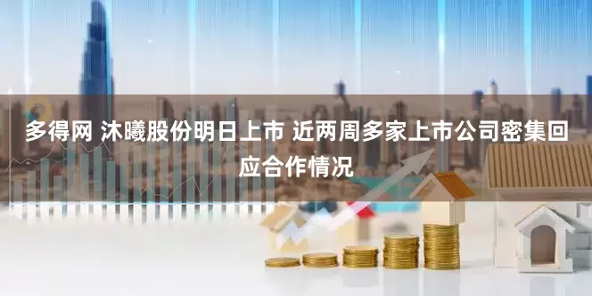 多得网 沐曦股份明日上市 近两周多家上市公司密集回应合作情况