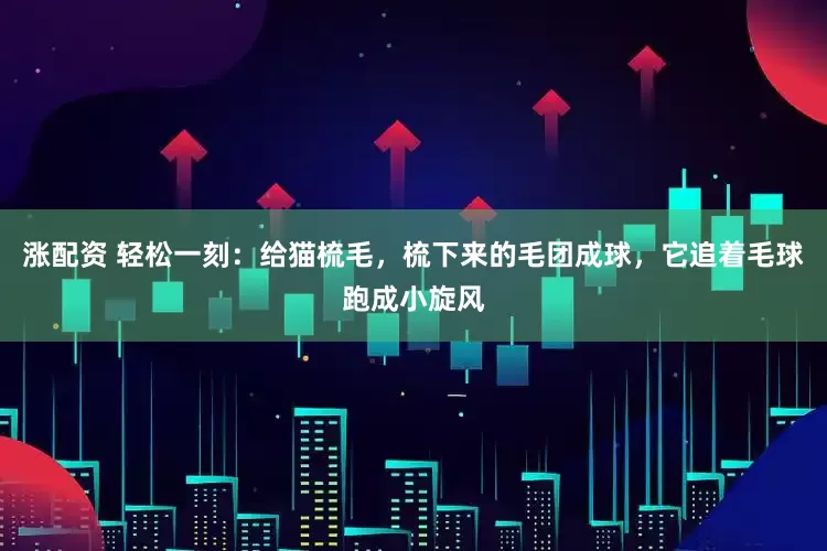 涨配资 轻松一刻：给猫梳毛，梳下来的毛团成球，它追着毛球跑成小旋风